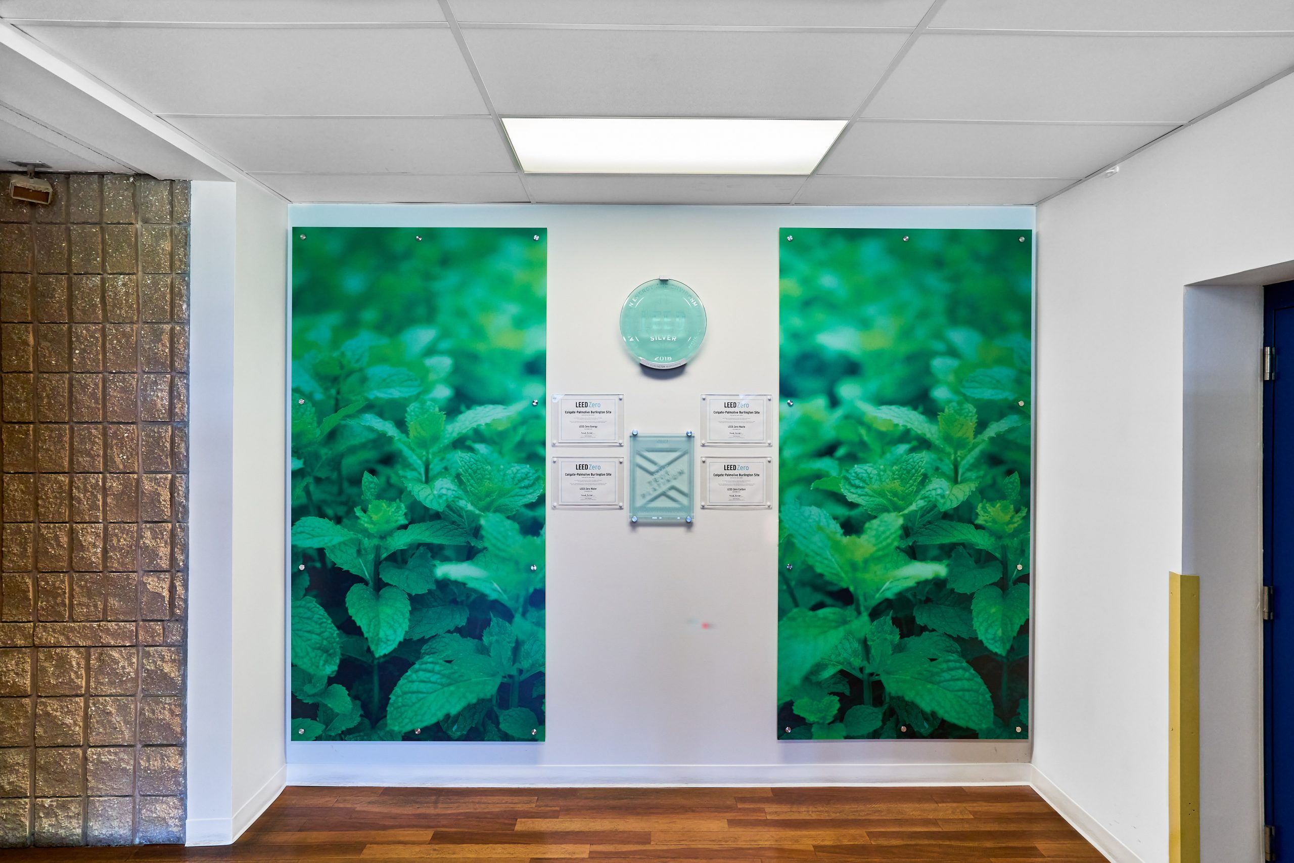 Mint Panels for corridor refresh interior design project