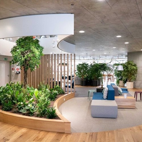 Biophillic lobby area design