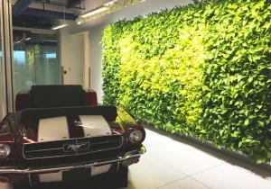 Green Wall for global technology interior design project